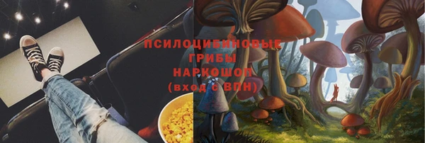 спиды Абаза