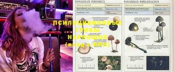 кокаин колумбия Абдулино