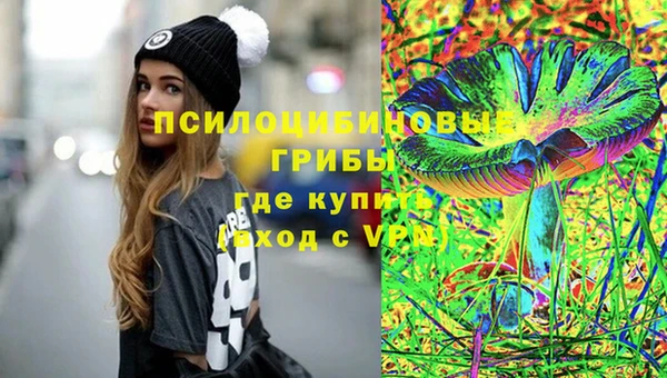 спиды Абаза